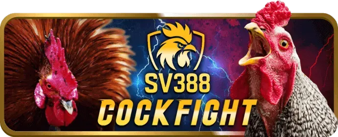 Chơi Tài Xỉu online tại Win Bet